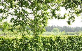 Peaceful Farmhouse In Doorn Near Forest